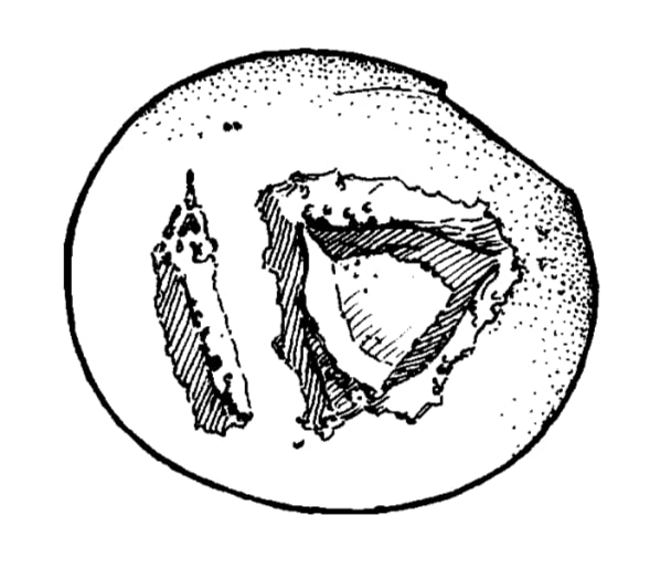 Seal from Pitchvnari, 1969